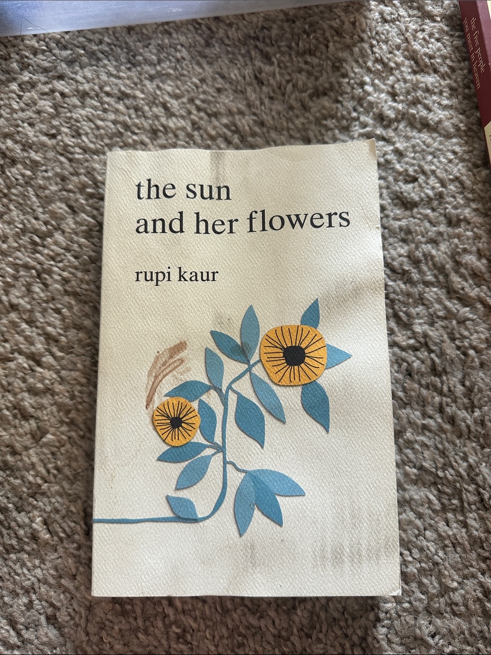The sun and her flowers book